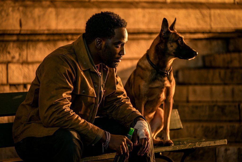 Shamier Anderson as Tracker in John Wick: Chapter 4. Photo Credit: Murray Close